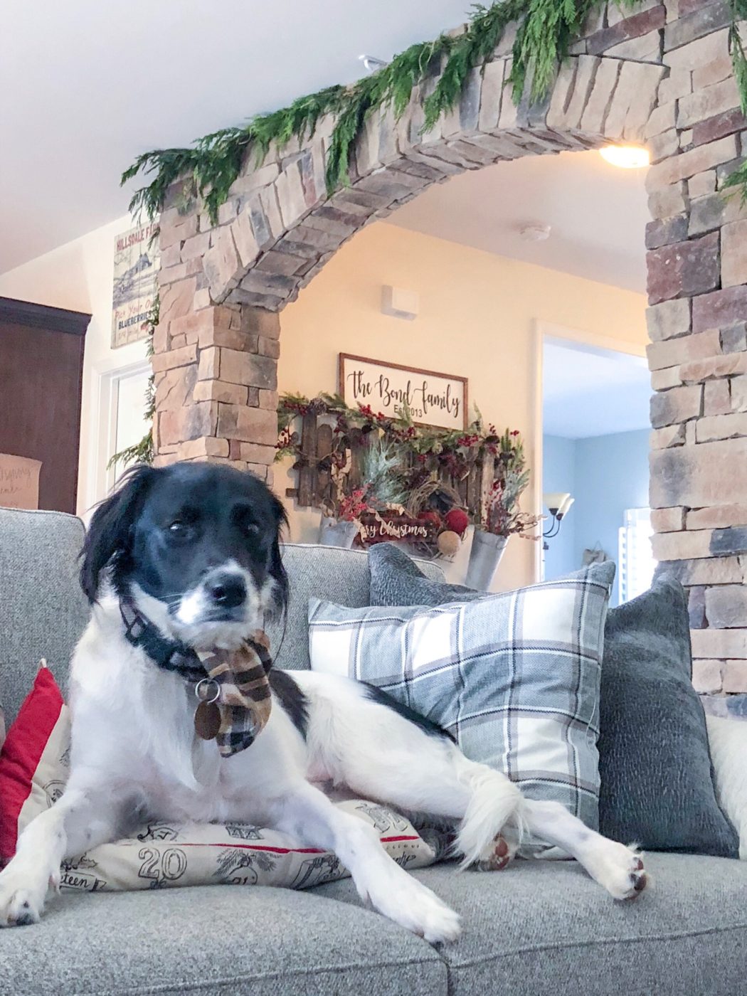 Christmas Home Decor Dog Friendly 