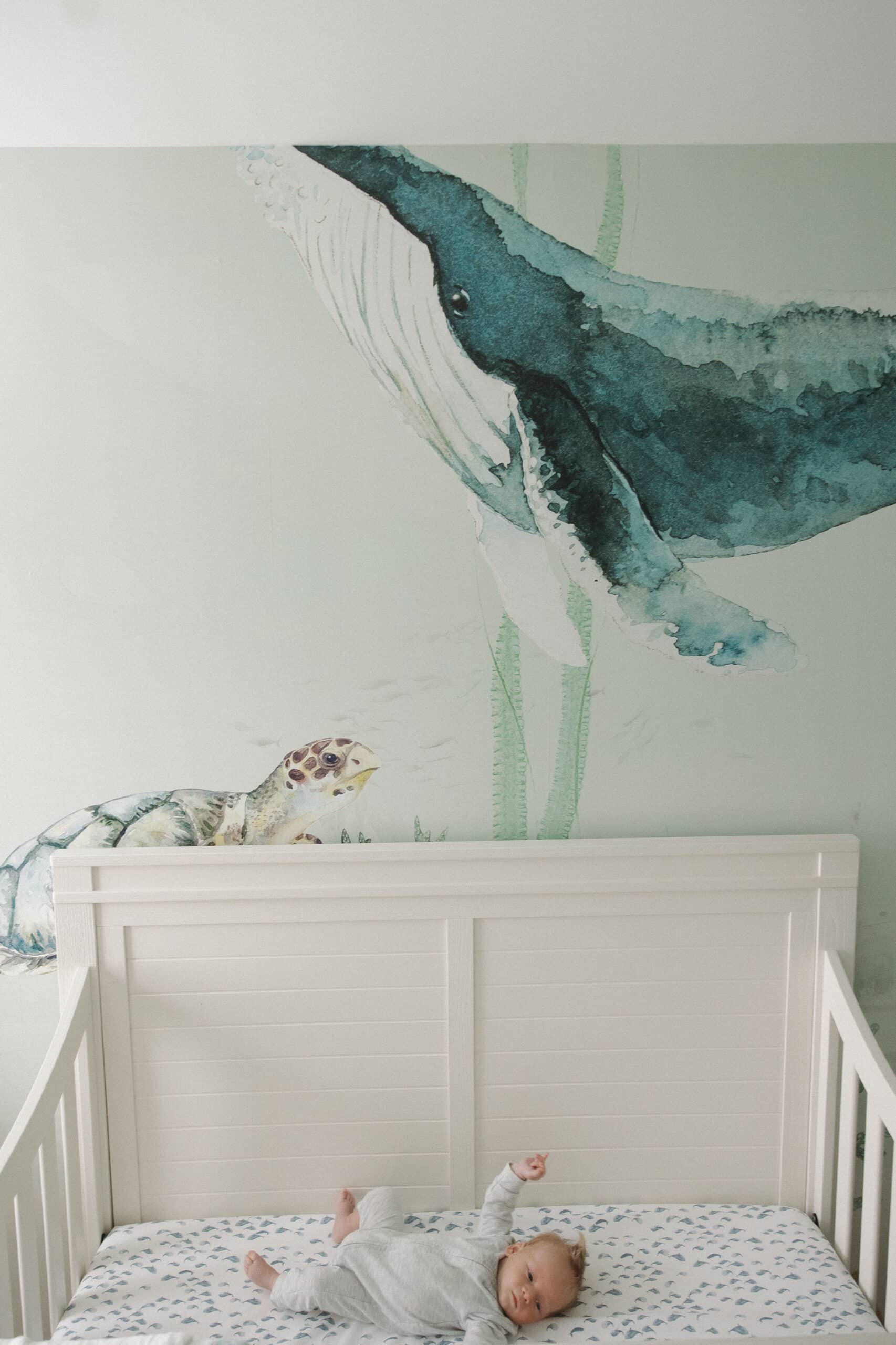 ocean themed nursery ideas